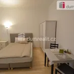 Rent 1 bedroom apartment of 30 m² in Prague