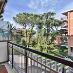 Rent 4 bedroom apartment of 115 m² in Roma