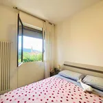 Rent 2 bedroom apartment of 58 m² in Pordenone