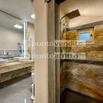 Rent 5 bedroom apartment of 520 m² in Lucca