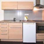 Rent 1 bedroom apartment of 33 m² in Brno