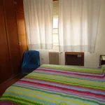 Rent a room in cordoba