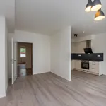 Pronajměte si 4 ložnic/e byt o rozloze 86 m² v chodov