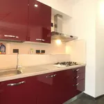 Rent 1 bedroom apartment of 55 m² in milan