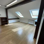 Rent 1 bedroom house of 273 m² in Prague