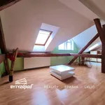 Rent 1 bedroom apartment of 48 m² in Plzeň