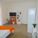 Rent 4 bedroom apartment in Modena