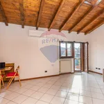 Rent 1 bedroom apartment of 37 m² in Origgio