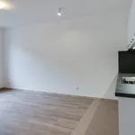 Rent 2 bedroom apartment in Praha - východ