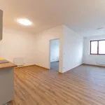 Pronajměte si 2 ložnic/e byt o rozloze 55 m² v vizovice