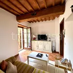 Rent 2 bedroom apartment of 50 m² in Vicopisano