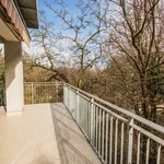 Rent 3 bedroom apartment of 117 m² in Budapest