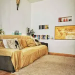 Rent 3 bedroom apartment of 60 m² in Trieste