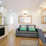 Rent 1 bedroom apartment of 35 m² in lisbon