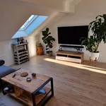 Rent 4 bedroom apartment of 100 m² in Dresden