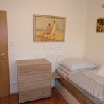 Rent 2 bedroom house in Chýnice