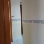 Rent 3 bedroom apartment of 70 m² in Vibo Valentia