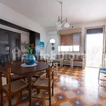 Rent 3 bedroom apartment of 77 m² in Vittoria