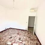 Rent 3 bedroom apartment of 80 m² in Torino