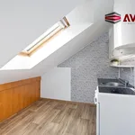 Rent 1 bedroom apartment in Opava