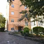 Rent 3 bedroom apartment of 80 m² in Rome