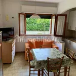 Rent 3 bedroom apartment of 55 m² in Massa