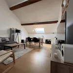 Rent 1 bedroom apartment in Namur