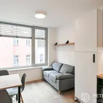 Rent 2 bedroom apartment of 26 m² in Praha