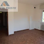 appartamento in affitto a montegrino valtravaglia