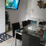 Rent 1 bedroom apartment in Padua