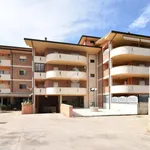 Rent 3 bedroom apartment of 80 m² in Sezze