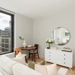 Rent 1 bedroom apartment of 700 m² in Manhattan