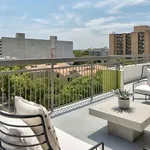 Rent 1 bedroom apartment in Austin