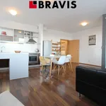 Rent 2 bedroom apartment of 58 m² in Brno