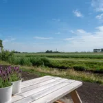 Rent 2 bedroom apartment of 77 m² in friesland