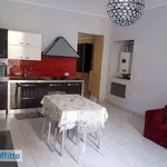 Rent 2 bedroom apartment of 55 m² in Turin