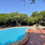 Rent 2 bedroom apartment of 60 m² in Santa Teresa Gallura