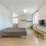 Rent 1 bedroom apartment in Praha - východ