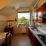 Rent 2 bedroom apartment of 55 m² in Milano