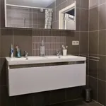 Rent 3 bedroom apartment in Zele