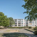 Rent 3 bedroom apartment of 70 m² in Wolfsburg