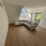 Rent 4 bedroom apartment in Velké Meziříčí