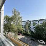 Rent 4 bedroom apartment of 71 m² in Chemnitz