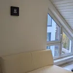 Spacious and pretty apartment in Bad Vilbel, Bad Vilbel - Amsterdam Apartments for Rent