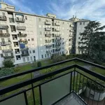 Rent 2 bedroom apartment of 55 m² in Milan