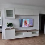 Miete 1 Schlafzimmer wohnung von 34 m² in Pinneberg