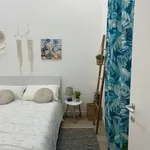 Rent 2 bedroom apartment of 50 m² in Roma