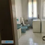 Rent 3 bedroom apartment of 75 m² in Bologna