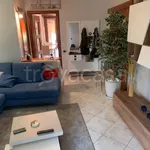 Rent 3 bedroom apartment of 90 m² in Cornaredo