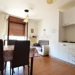 Rent 2 bedroom apartment of 50 m² in Adria